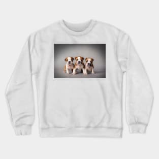 Bulldog puppies Crewneck Sweatshirt